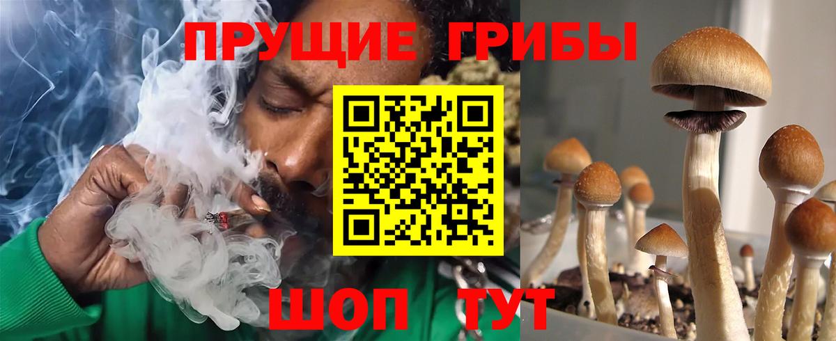 Псилоцибиновые грибы мухоморы Калач-на-Дону